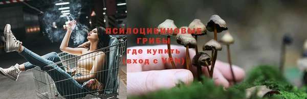 СК Армянск