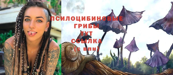 ECSTASY Аркадак