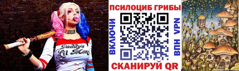 Псилоцибиновые грибы MAGIC MUSHROOMS Куйбышев
